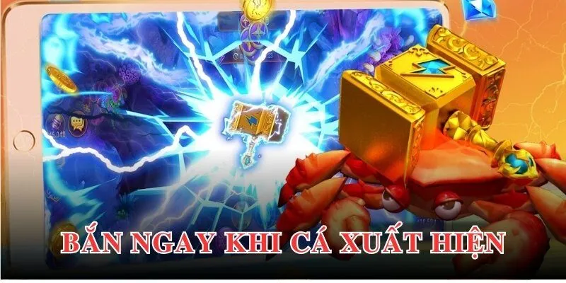 Bí quyết săn cá hiệu quả đến từ các chuyên gia lâu năm