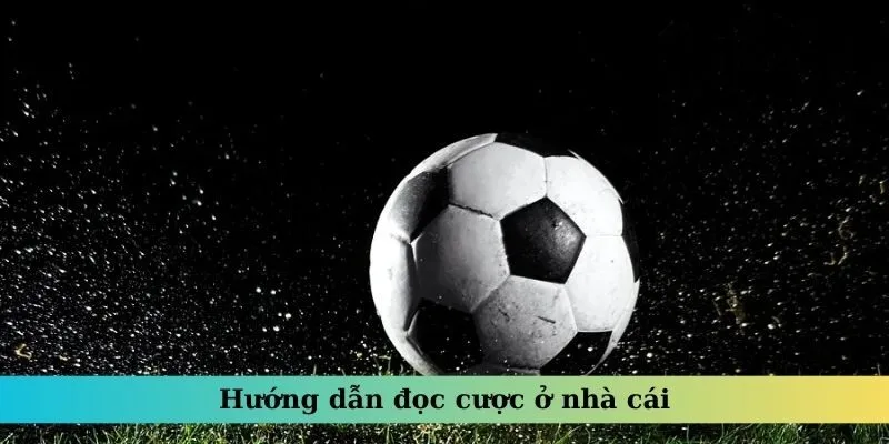 Hướng dẫn đọc cược ở nhà cái