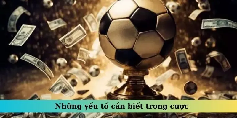 Những yếu tố cần biết trong cược