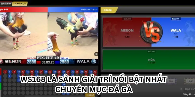 Một số thông tin giúp bạn làm quen với sảnh đá gà