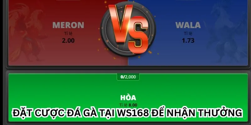 Đặt cược đá gà tại WS168 để nhận thưởng